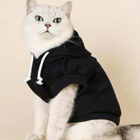 Winter Cat Premimum Dress Black