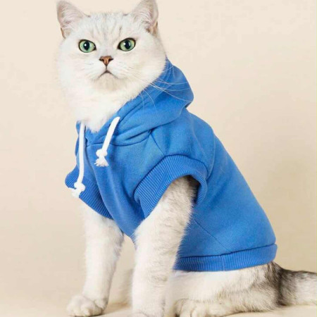 Winter Cat Premimum Dress Blue