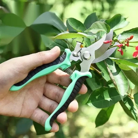 Stainless Steel Garden , Tree cutter Scissor